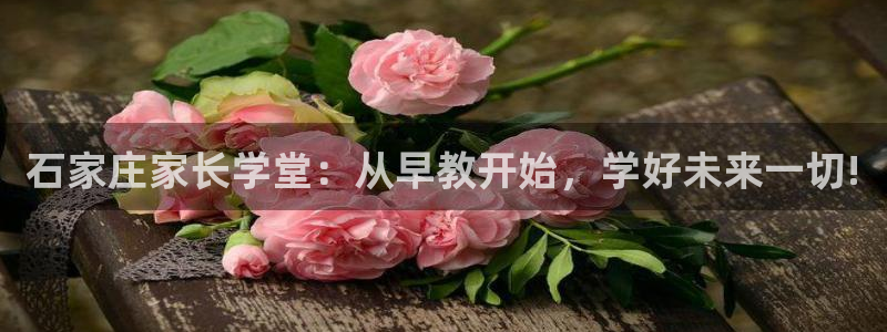 天狮娱乐手机app：石家庄家长学堂：从早教开始，学好未来一切!