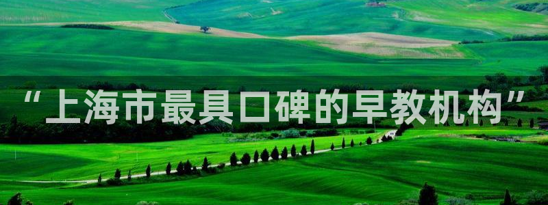 天狮娱乐招商36633：“上海市最具口碑的早教机构”