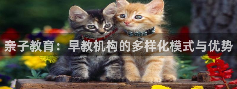 天狮娱乐 a招商60447：亲子教育：早教机构的多样化模式与优势
