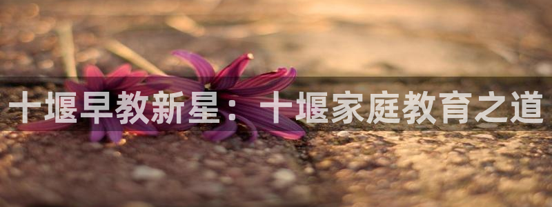 天狮娱乐 a招商67646：十堰早教新星：十堰家庭教育之道