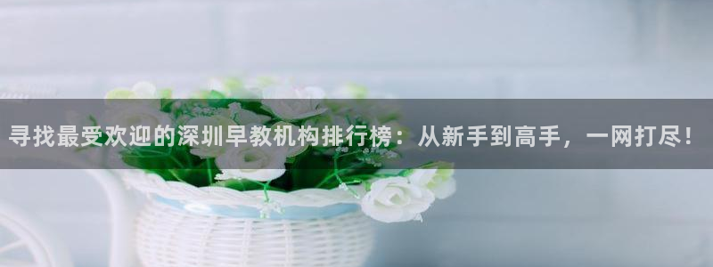 天狮娱乐总部在哪里：寻找最受欢迎的深圳早教机构排行榜：从新手到高手，一网打尽！