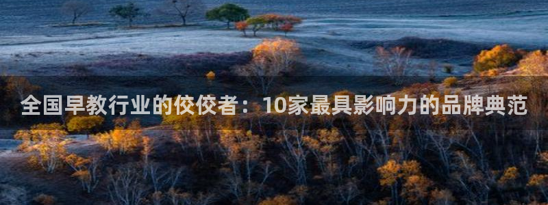 天狮娱乐i 判官：全国早教行业的佼佼者：10家最具影响力的品牌典范