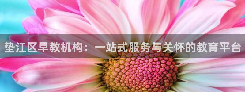 天狮娱乐平台找谁：垫江区早教机构：一站式服务与关怀的教育平台