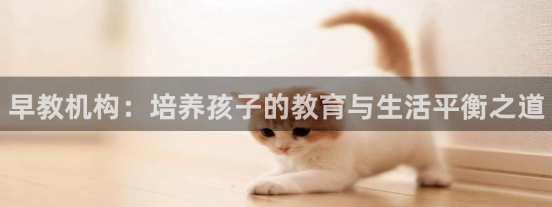 天狮娱乐-扣 股东：早教机构：培养孩子的教育与生活平衡之道