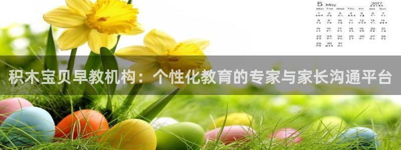 天狮娱乐e 判官：积木宝贝早教机构：个性化教育的专家与家长沟通平台