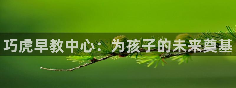 天狮娱乐返点多少：巧虎早教中心：为孩子的未来奠基