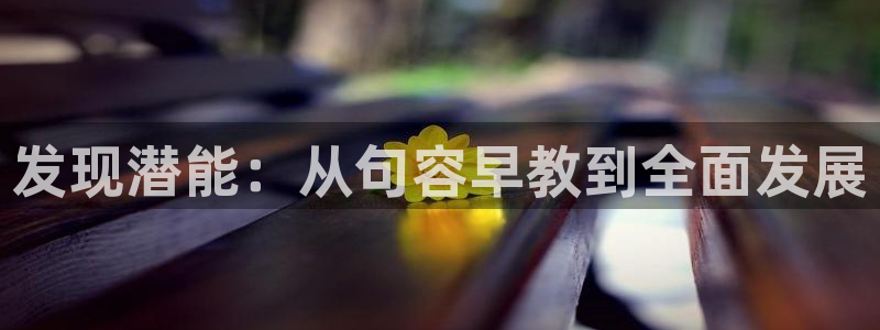 天狮娱乐叶哥：发现潜能：从句容早教到全面发展